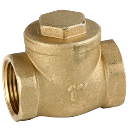 fotoМеталлический поворотный обратный клапан 1" Genebreфото