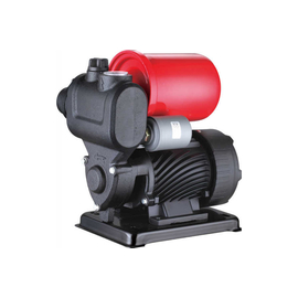 fotoНасосная станция Pumpman TGP125 82115фото