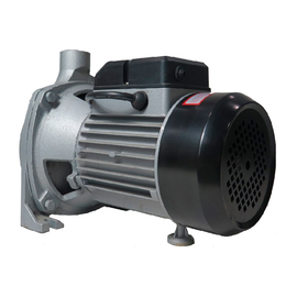 fotoЦентробежный насос MAGNETTA CPm170фото