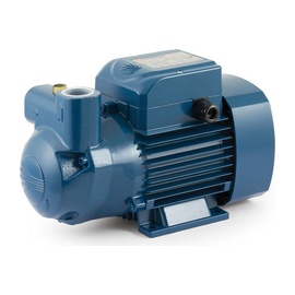 fotoНасос Pedrollo CKm 50 46CKM55A1фото