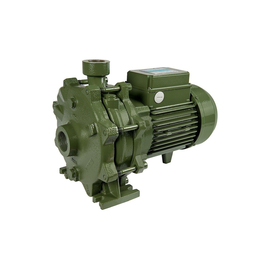 fotoНасос SAER FC 20-2B V230400 - 50 Hz - 3 100550263фото