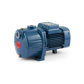 fotoНасос Pedrollo 3 CP 100-C 43CPN284Aфото