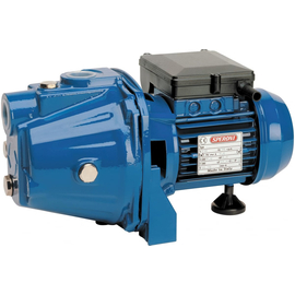 fotoСадовый насос Speroni CAM 40-HL 101155450фото