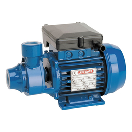 fotoСадовый вихревой насос Speroni KPM 50 101020300фото