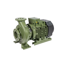 fotoНасос SAER IR 65-125D 100543996фото