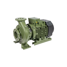 fotoНасос SAER IR 80-160E 100544015фото