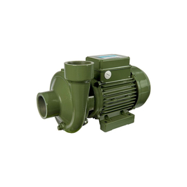 fotoНасос SAER BP4 230V 100548167фото