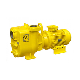 fotoСамовсасывающий насос VARISCO JE 3-210 G10 ET40 100504524фото