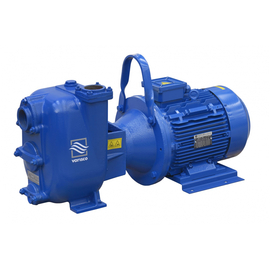 fotoСамовсасывающий электронасос VARISCO JE 2-180 G10 MT20 100518590фото