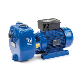 fotoСамовсасывающий электронасос VARISCO JE 1-160 G30 MT20 100518545фото