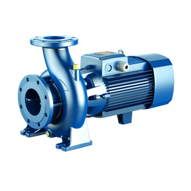 fotoНасос PEDROLLO F 40/250 А без контрфланцев 4FN40250AEфото