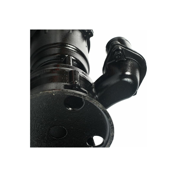 fotoДренажный насос PATRIOT FQ 600C 315302421, изображение 4фото