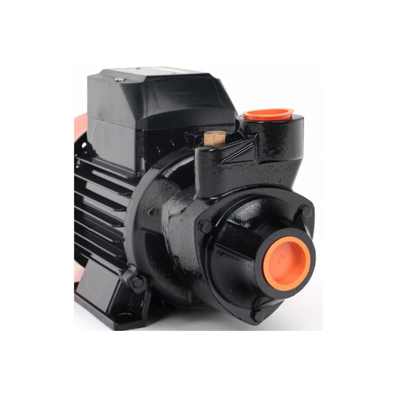 fotoСамовсасывающий насос PATRIOT QB70, изображение 3фото