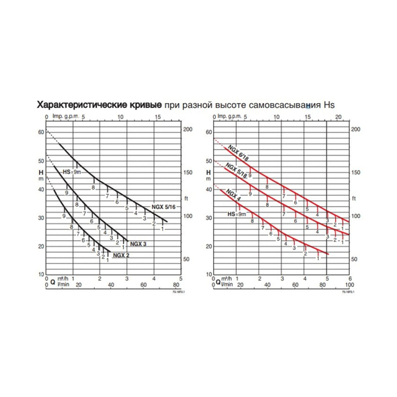 fotoСамовсасывающий электронасос Calpeda NGXM 2 230/50 Hz 100381804, изображение 3фото