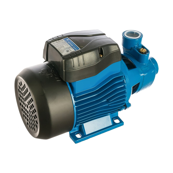 fotoВихревой центробежный насос Mr.Pump ВИХРЕВИК 38/44Ч 2003R, изображение 9фото