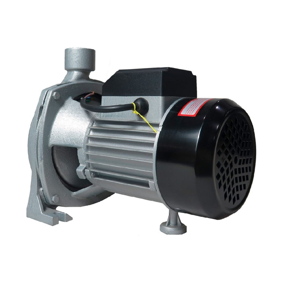 fotoЦентробежный насос MAGNETTA CPm158фото