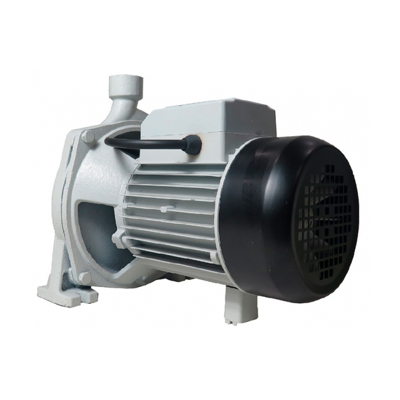 fotoЦентробежный насос MAGNETTA CPm190фото