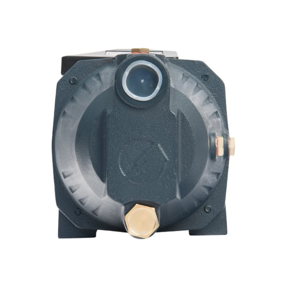 fotoПоверхностный насос UNIPUMP JET 110 L 11582, изображение 2фото