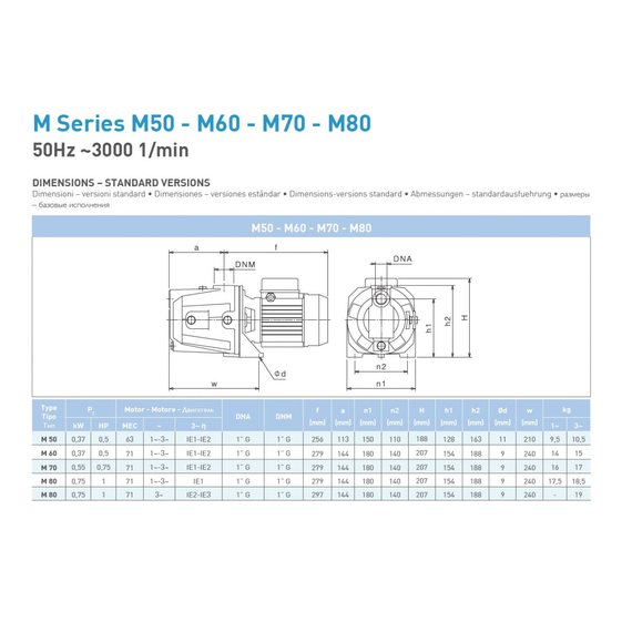 fotoНасос SAER M 80 230V 100548319, изображение 2фото