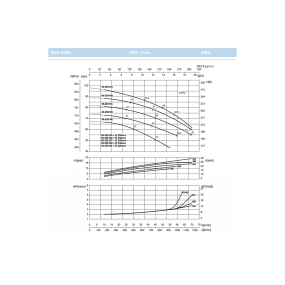 fotoНасос SAER IR 40-250NB 100543968, изображение 2фото