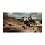 fotoГрязевой насос Metabo SP 24-46 SG 604113000, изображение 2фото