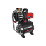 fotoНасосная станция QUATTRO ELEMENTI Automatico 1300 FL 770-667фото